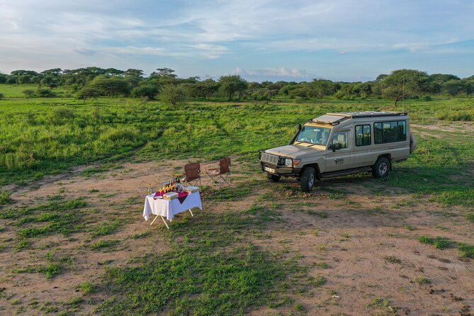 3-Day Classic Serengeti Safari - Price and logistics: what $1,455.36 buys you in real-world value