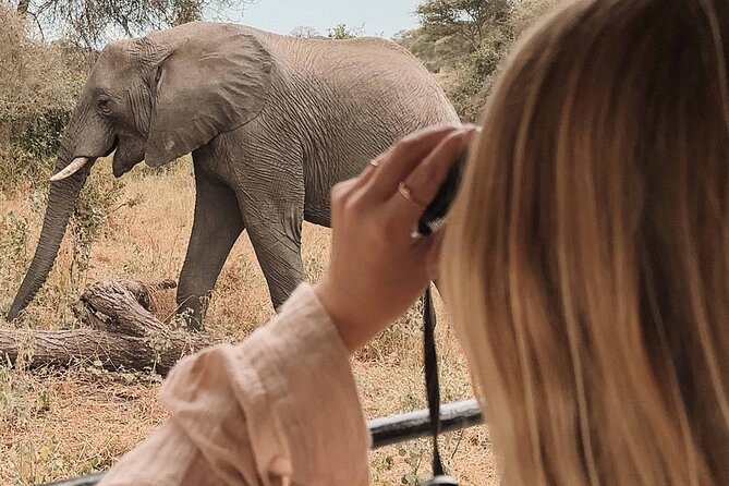 3-Day Manyara, Tarangire and Ngorongoro Crater - Key things that make this safari work