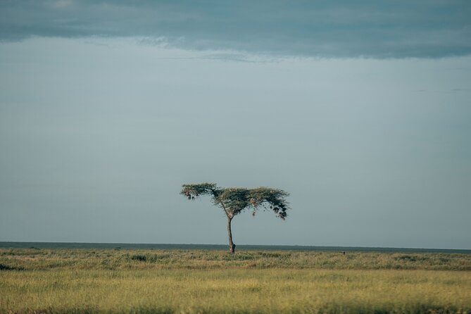 3-Day Manyara, Tarangire and Ngorongoro Crater - Manyara, Tarangire, and Ngorongoro in three days