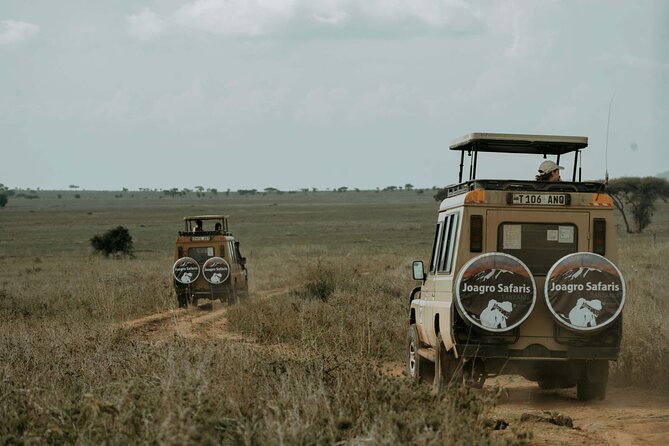 3-Day Manyara, Tarangire and Ngorongoro Crater - How I’d plan your expectations for sightings