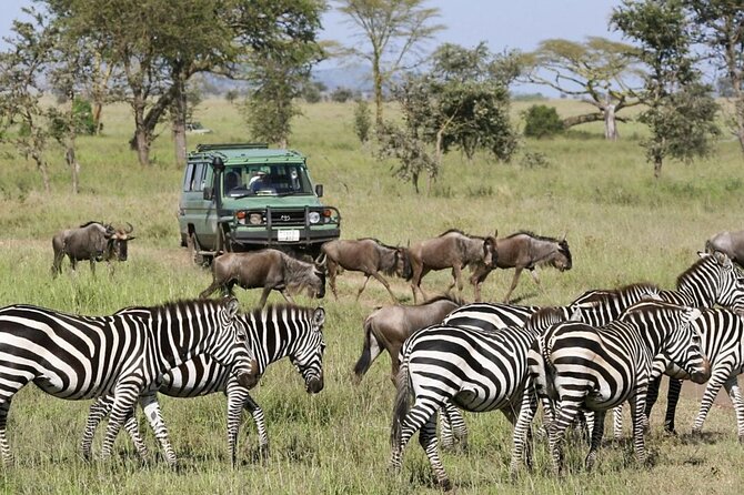 3-Day Ngorongoro Crater Manyara and Tarangire Safari from Arusha - Quick Take: The Best Parts of This 3-Day Safari