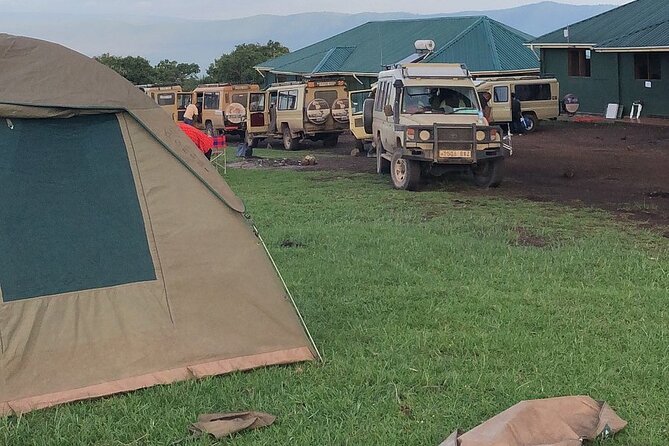 3-Day Ngorongoro Crater Manyara and Tarangire Safari from Arusha - Day 2 at Ngorongoro Crater: The Big-Show Game Drive