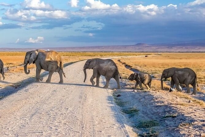3-Day Ngorongoro Crater Manyara and Tarangire Safari from Arusha - Day 1 in Tarangire: Elephants, Baobabs, and Long Game-Viewing Time
