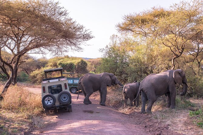 3-Day Private Safari to Lake Manyara, Tarangire & Ngorongoro - Lake Manyara National Park: Tree-Climbing Lions and a Full Day of Game Drives