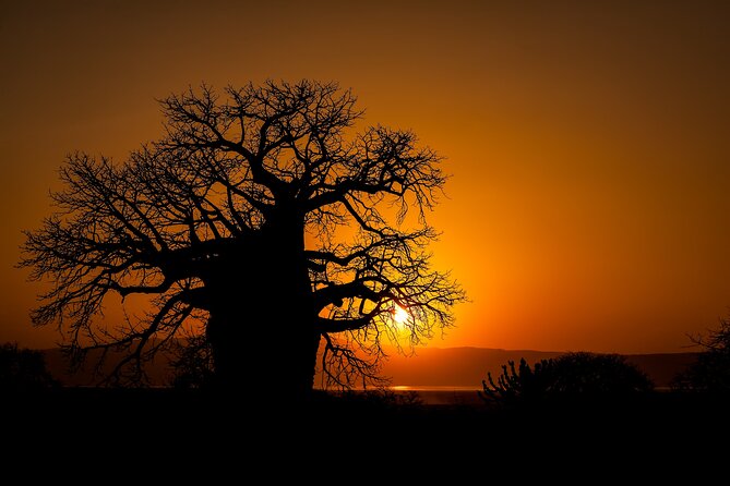 3-Day Private Safari to Lake Manyara, Tarangire & Ngorongoro - Price and Value at $1,426.30 Per Person