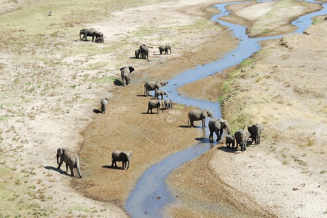 3-Day Private Safari to Lake Manyara, Tarangire & Ngorongoro - Ngorongoro Crater: The 600-Meter Descent and Your Best Shot at Rare Wildlife