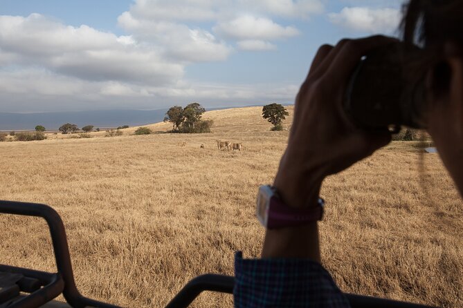3 Day Private Serengeti Safari Tour with One Way Flight - Price and value: what you are really paying for