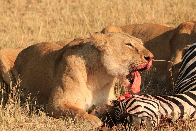 3-Day Safari in Serengeti & Ngorongoro(Mid-range) - Value Check: Is $2,480 a Good Deal for This 3-Day Route?