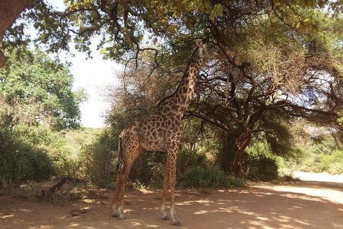 3-Day Safari to Ngorongoro, Tarangire & Lake Manyara NP - Guide and Vehicle Time: What a Max 5 Group Changes