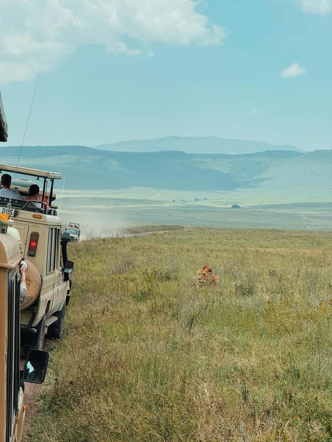 3-Day Safari to Serengeti & Ngorongoro + Balloon experience - Why Serengeti and Ngorongoro work so well together