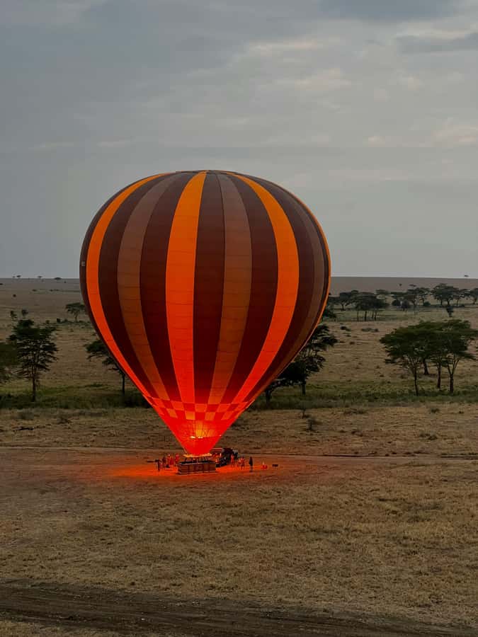3-Day Safari to Serengeti & Ngorongoro + Balloon experience - Day 1: Arusha to Serengeti, first game drive and real safari rhythm