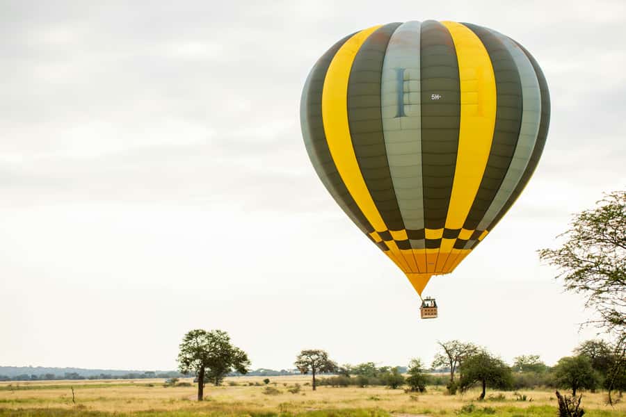3-Day Safari to Serengeti & Ngorongoro + Balloon experience - The real value of “Big Five” on this route