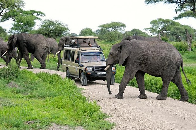 3-Day Safari Tour to Tarangire National Park, Lake Manyara National Park and Ngorongoro Crater from Arusha - Three parks, one focused 3-day route from Arusha