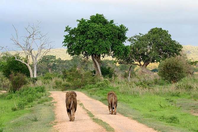 3-Day Safari Tour to Tarangire National Park, Lake Manyara National Park and Ngorongoro Crater from Arusha - Price and value: what $1,557.70 is buying you
