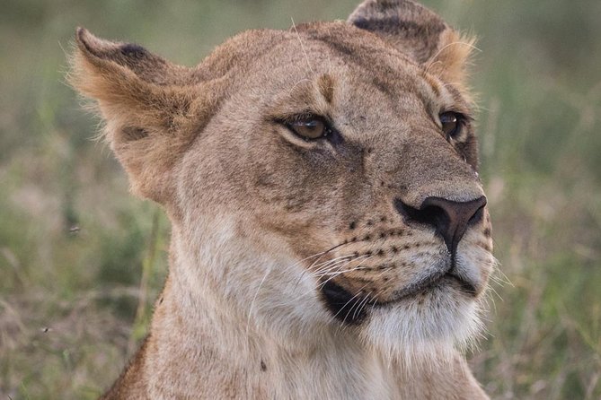 3-Day Selous Reserve mid-Range Safari - Key things I’d spotlight before you go