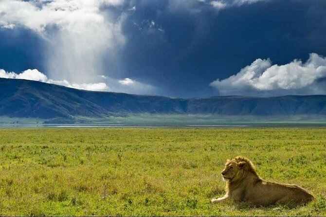 3 Day Sharing Safari - Manyara, Ngorongoro Crater and Tarangire National Parks - Key things I’d watch for before you go