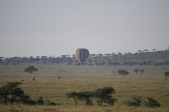 3 Day Sharing Safari - Manyara, Ngorongoro Crater and Tarangire National Parks - Value and logistics: what your $870 really buys