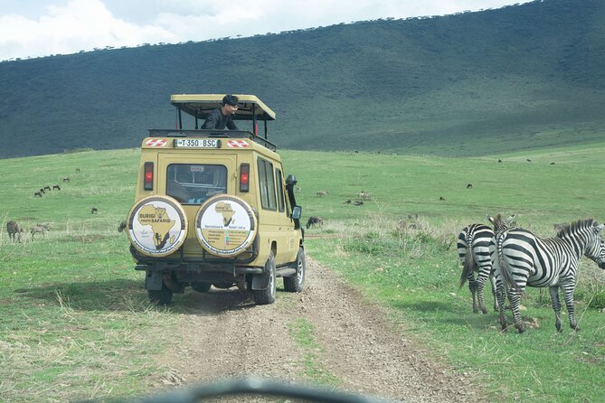 3-Day Tanzania Group Safari-Tarangire, Ngorongoro & Lake Manyara - Group joining safari logistics: how the shared format helps and hurts