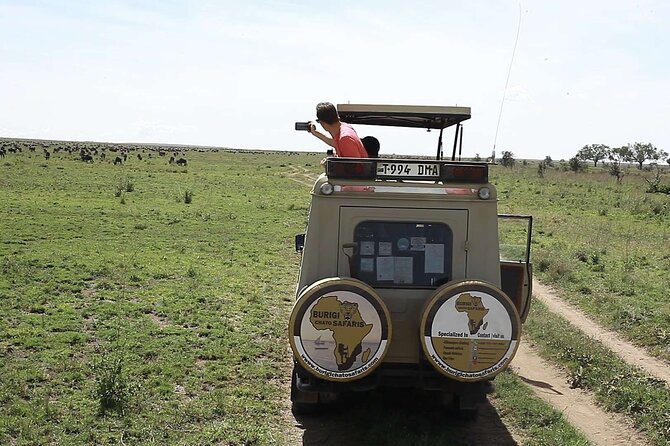 3-Day Tanzania Group Safari-Tarangire, Ngorongoro & Lake Manyara - Day 2: Ngorongoro Crater full day, from the rim to the crater floor