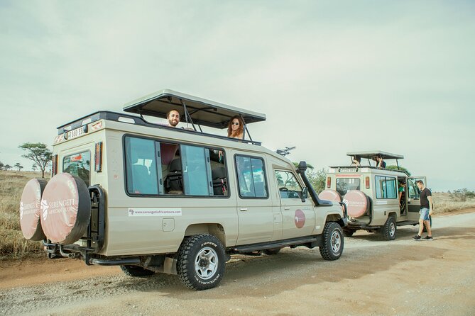 3 Day Tanzania Luxury Safari - Tarangire, Manyara, and Ngorongoro in 72 hours