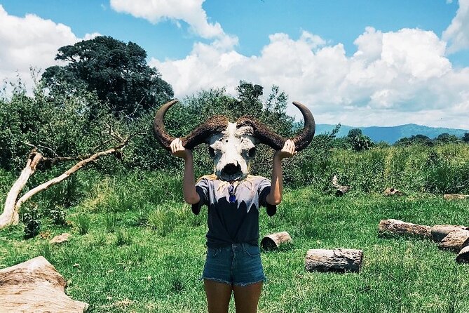3-Day Tarangire, Lake Manyara and Ngorongoro - Day 2 at Ngorongoro Crater: Black Rhino Country