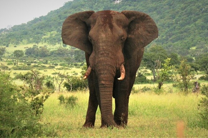 3-Day Tarangire, Lake Manyara and Ngorongoro - Who This Safari Suits Best, and Who Might Want a Different Pace