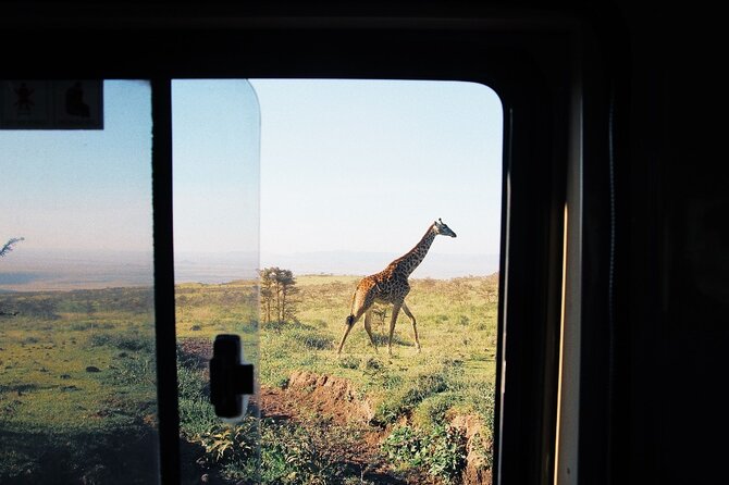 3-Day Tarangire, Lake Manyara and Ngorongoro - Day 1 in Tarangire National Park: Elephant Herds and Big Safari Energy