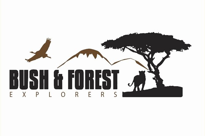 3-Day Tarangire, Ngorongoro and Lake Manyara Camping Safari - Tarangire National Park: elephants, baobabs, and a driver who reads the river