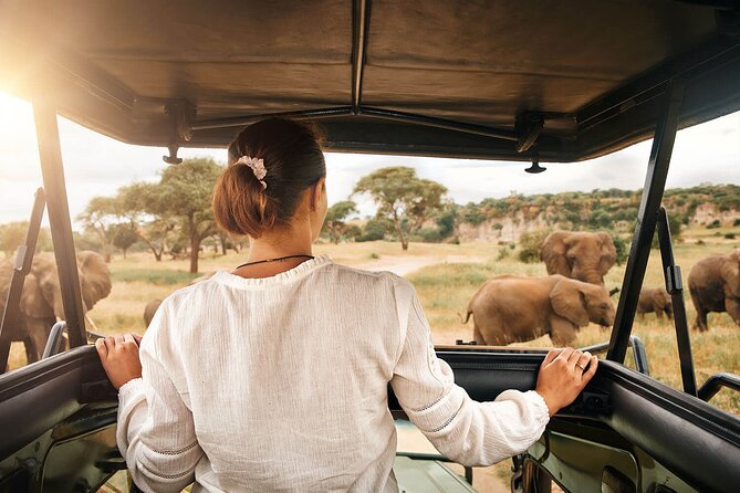 3-Day Tarangire, Ngorongoro and Lake Manyara Camping Safari - Ngorongoro Crater: one bowl, Big-Five odds, and a lot of birds