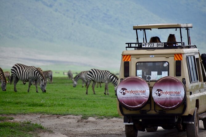 3 Day - Tarangire, Ngorongoro Crater Lake Manyara- Mid - Range - Day 3: Lake Manyara full-day drives, then back to Arusha around 5 pm