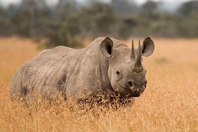 3-Day Tarangire, Ngorongoro Crater, Manyara Park - How This 3-Day Route Fits the Northern Circuit Best