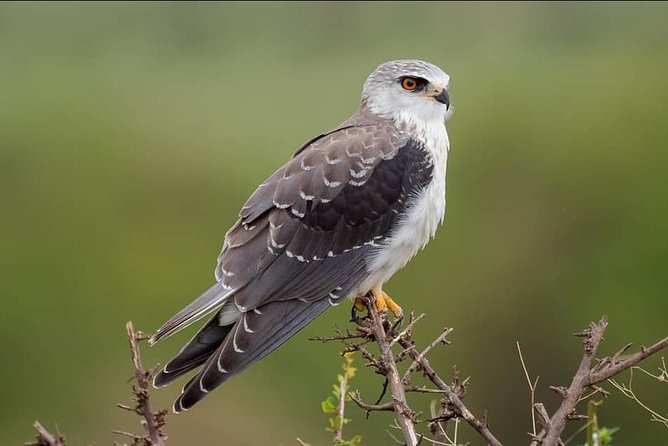 3-Day Tarangire NP, Manyara NP & Ngorongoro Crater - Price and Logistics: Is $830 Good Value for What You Get?