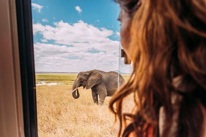3-Day Taste of Tanzania Safari (Tarangire National park and Ngorongoro Crater) - Price and Value for $900: What You Get, What You Pay Separately
