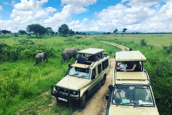 3 Days 2 Nights Adventures At Mikumi National Park - Key Highlights You’ll Actually Care About
