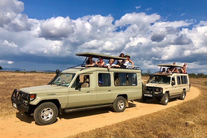 3 Days 2 Nights Adventures At Mikumi National Park - What Wildlife and Birding Opportunities Look Like in Mikumi