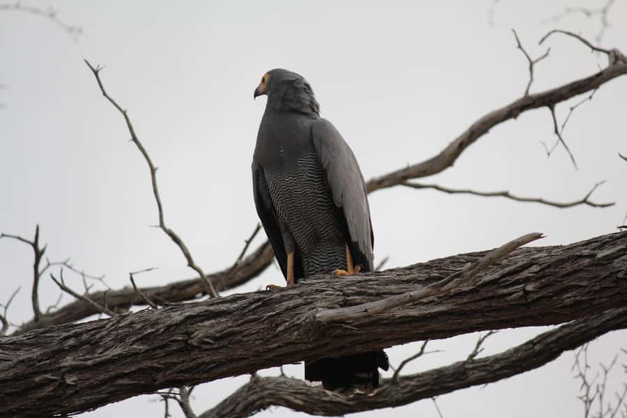 3 Days 2 Nights Amazing Masai Tour & Mikumi National Park - Key highlights worth your attention
