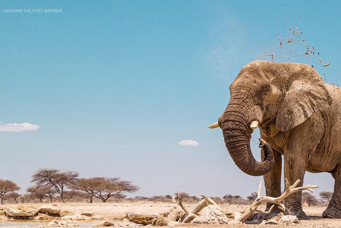 3 Days 2 Nights Group Joining Serengeti and Ngorogoro Safari - Meals, Chef Cooking, Mineral Water, and the Camping Reality