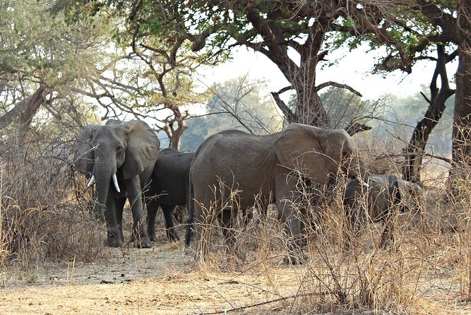3 Days 2 Nights Group Joining Serengeti and Ngorogoro Safari - Price and Value: What You’re Paying For at $900 Per Person