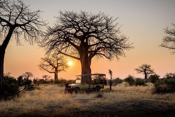 3 Days 2 Nights Group Joining Serengeti and Ngorogoro Safari - Who This Safari Fits Best, and Who Might Prefer Another Style