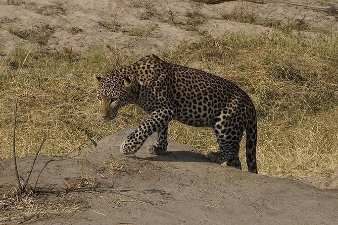 3 Days 2 Nights Mikumi National Park from Dar es salaam road trip - Who this Mikumi road trip suits best, and who should think twice