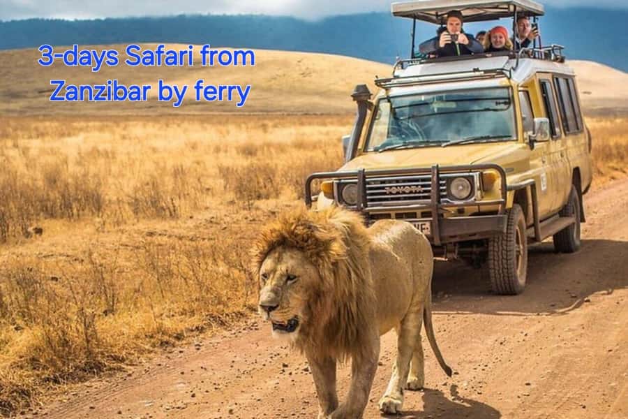 3 DAYS, 2 NIGHTS SAFARI FROM ZANZIBAR TO MIKUMI BY FERRY. - Zanzibar to Mikumi by ferry and train: the point of the long route