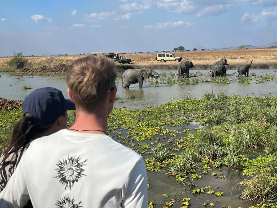 3 DAYS, 2 NIGHTS SAFARI FROM ZANZIBAR TO MIKUMI BY FERRY. - “Big 4 in Mikumi” and what that means for your expectations