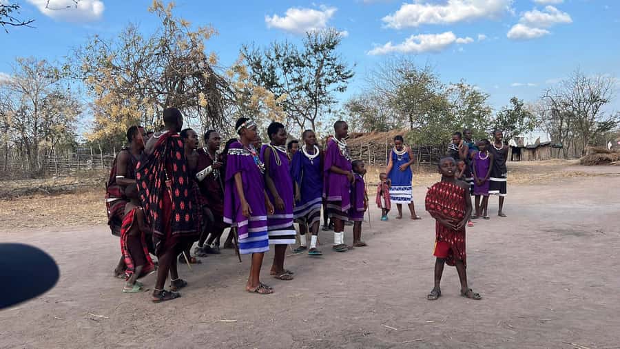 3 DAYS, 2 NIGHTS SAFARI FROM ZANZIBAR TO MIKUMI BY FERRY. - Price and value: what $730 covers, and what it does not