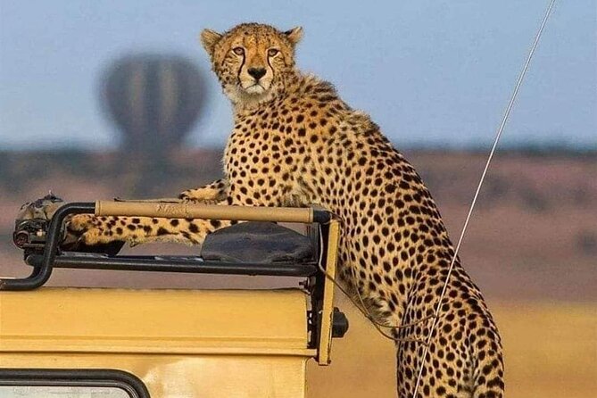 3 Days /2 nights Serengeti and Ngorongoro crater - Why this 3-day Serengeti and Ngorongoro loop works