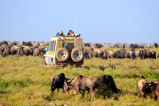 3 Days 2 Nights Serengeti, Ngorongoro & Tarangire Wildlife Lodge Safari - Ngorongoro Crater: descending into Lake Magadi and the Big Five odds