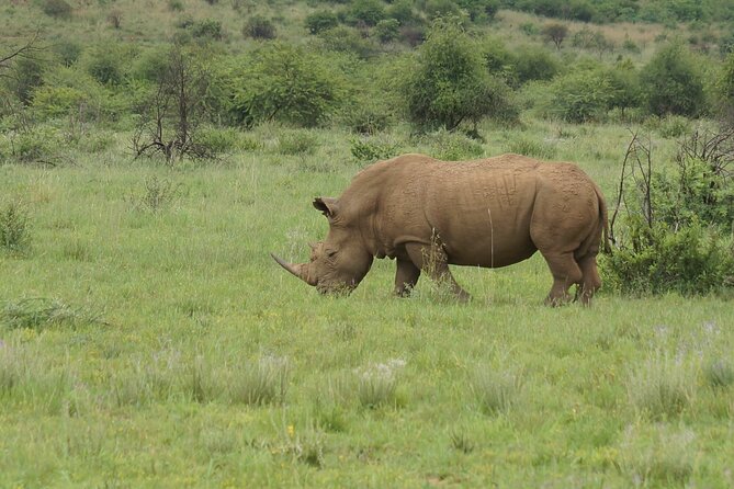 3-Days 2-nights Tanzania Private Budget Camping Safari - Key Highlights You Should Care About