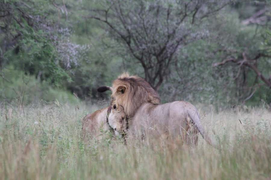 3-days adventure from Dar-es-Salaam to Mikumi National Park - The 3-day game plan from Dar es Salaam to Mikumi