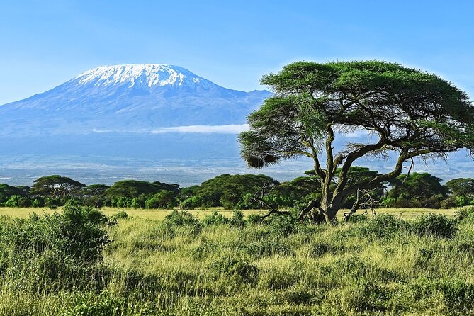 3 Days All Inclusive Zanzibar to Tarangire Ngorongoro - Day 2 Ngorongoro Crater: 600-meter descent into predator country