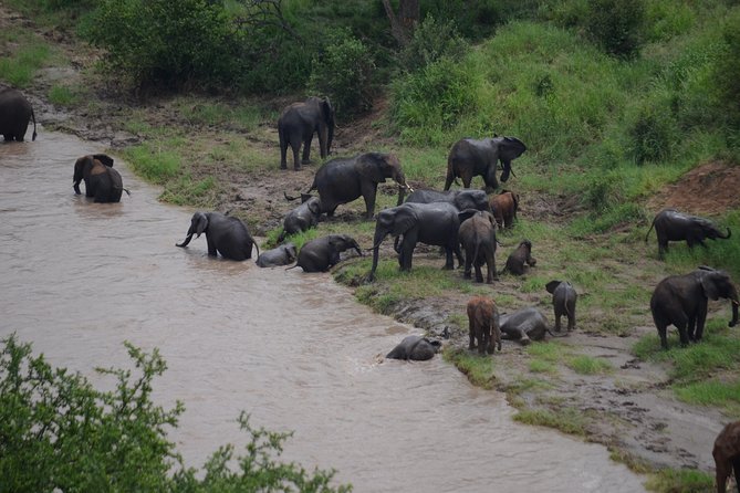 3 Days All Inclusive Zanzibar to Tarangire Ngorongoro - Guides, communication, and why small groups feel better