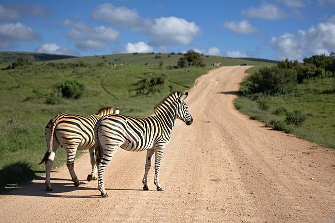 3 Days Amzing Safari in Tarangire and Nngorongoro - Price and value: what $708.34 per person is really covering